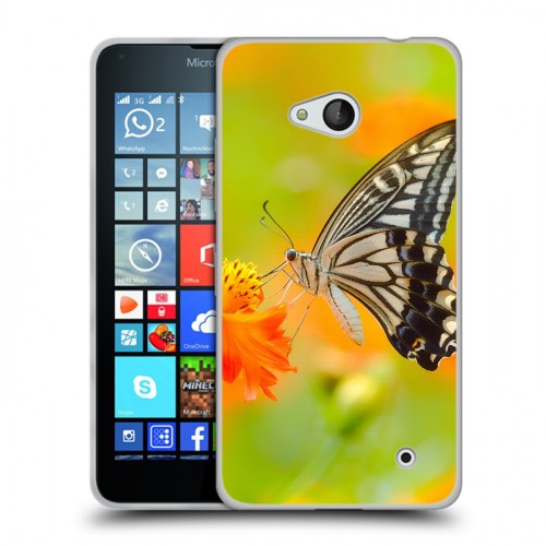 Дизайнерский пластиковый чехол для Microsoft Lumia 640 Бабочки