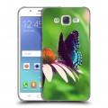 Дизайнерский пластиковый чехол для Samsung Galaxy J5 Бабочки