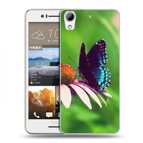 Дизайнерский пластиковый чехол для HTC Desire 728 Бабочки