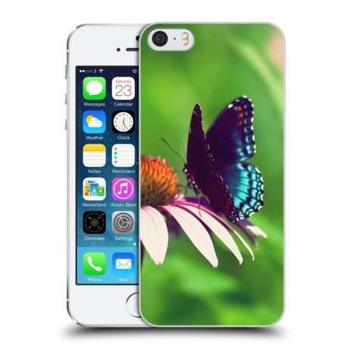 Дизайнерский пластиковый чехол для Iphone 5s Бабочки