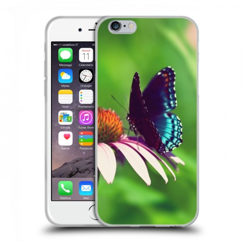 Дизайнерский пластиковый чехол для Iphone 6/6s Бабочки