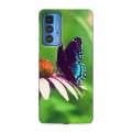 Дизайнерский пластиковый чехол для Motorola Edge 20 Pro Бабочки