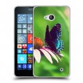 Дизайнерский пластиковый чехол для Microsoft Lumia 640 Бабочки