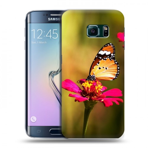 Дизайнерский пластиковый чехол для Samsung Galaxy S6 Edge Бабочки