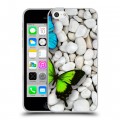 Дизайнерский пластиковый чехол для Iphone 5c Бабочки