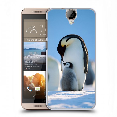 Дизайнерский пластиковый чехол для HTC One E9+ Пингвины