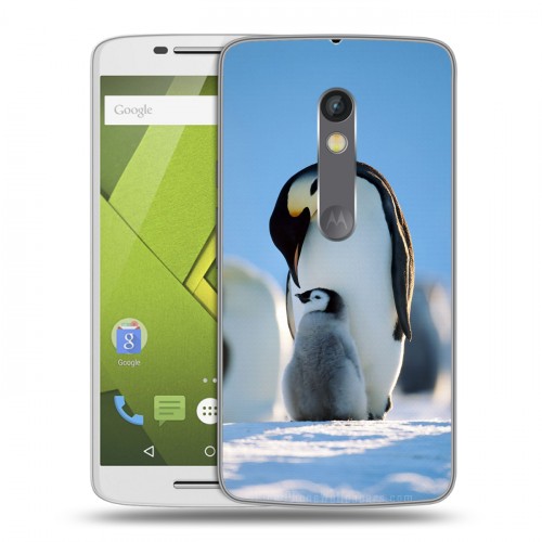 Дизайнерский пластиковый чехол для Lenovo Moto X Play Пингвины