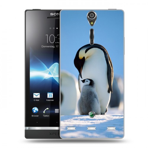 Дизайнерский пластиковый чехол для Sony Xperia S Пингвины