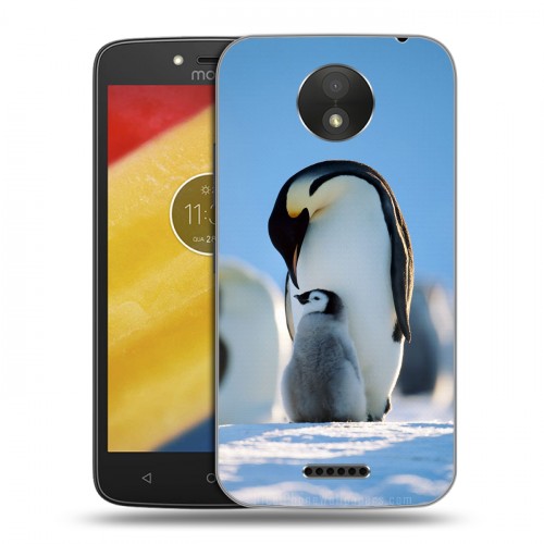 Дизайнерский пластиковый чехол для Motorola Moto C Plus Пингвины