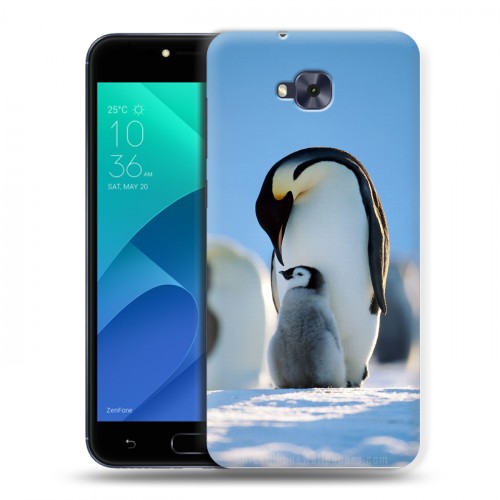 Дизайнерский пластиковый чехол для ASUS ZenFone 4 Selfie Пингвины
