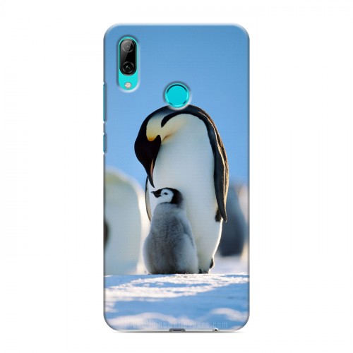 Дизайнерский пластиковый чехол для Huawei P Smart (2019) Пингвины