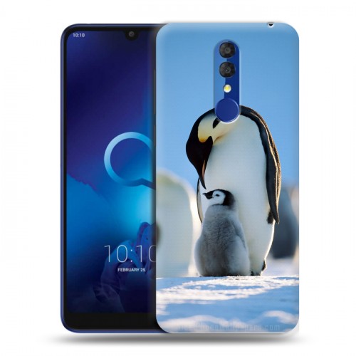 Дизайнерский пластиковый чехол для Alcatel 3 (2019) Пингвины