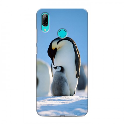 Дизайнерский пластиковый чехол для Huawei Y7 (2019) Пингвины