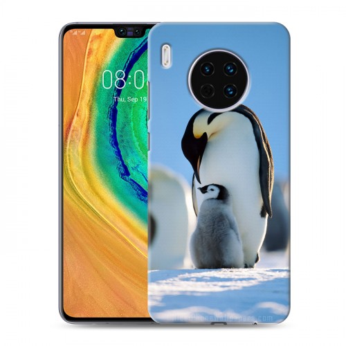 Дизайнерский пластиковый чехол для Huawei Mate 30 Пингвины