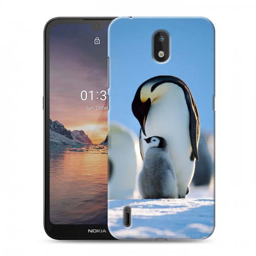 Дизайнерский силиконовый чехол для Nokia 1.3 Пингвины