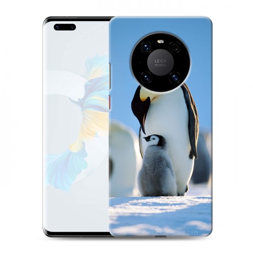 Дизайнерский пластиковый чехол для Huawei Mate 40 Pro Пингвины