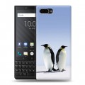 Дизайнерский пластиковый чехол для BlackBerry KEY2 Пингвины