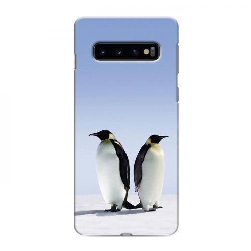 Дизайнерский силиконовый чехол для Samsung Galaxy S10 Пингвины