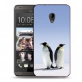 Дизайнерский пластиковый чехол для HTC Desire 700 Пингвины