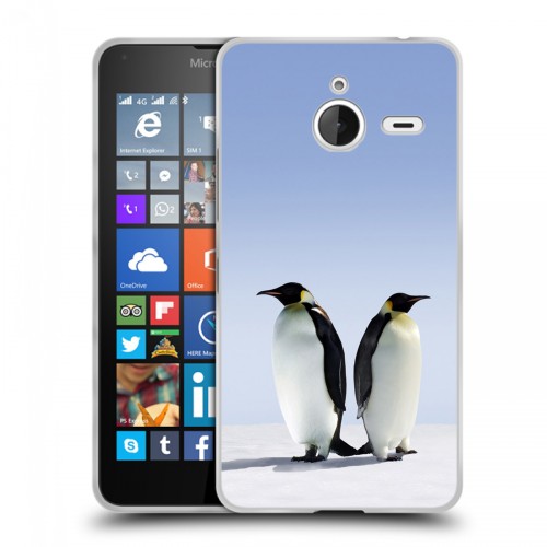 Дизайнерский пластиковый чехол для Microsoft Lumia 640 XL Пингвины