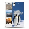 Дизайнерский пластиковый чехол для HTC Desire 728 Пингвины