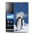 Дизайнерский пластиковый чехол для Sony Xperia S Пингвины