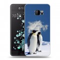 Дизайнерский пластиковый чехол для HTC U Ultra Пингвины