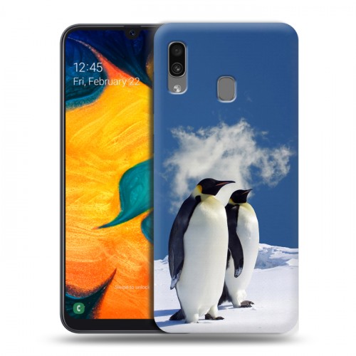 Дизайнерский силиконовый чехол для Samsung Galaxy A30 Пингвины
