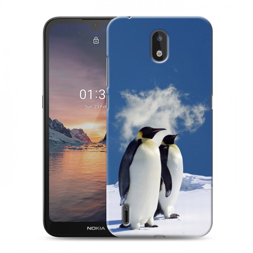 Дизайнерский силиконовый чехол для Nokia 1.3 Пингвины