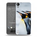Дизайнерский пластиковый чехол для HTC Desire 530 Пингвины
