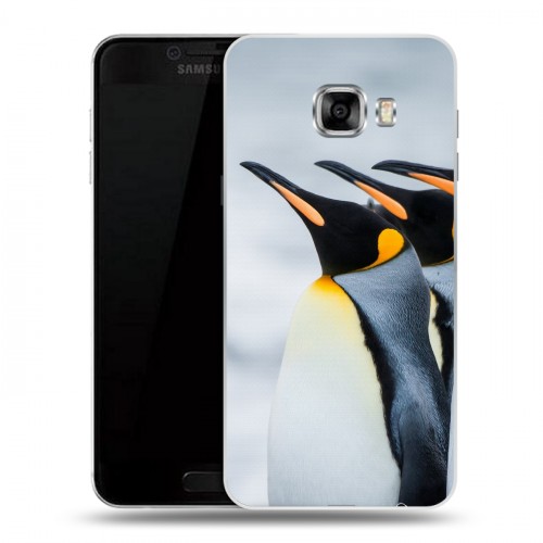 Дизайнерский пластиковый чехол для Samsung Galaxy C5 Пингвины