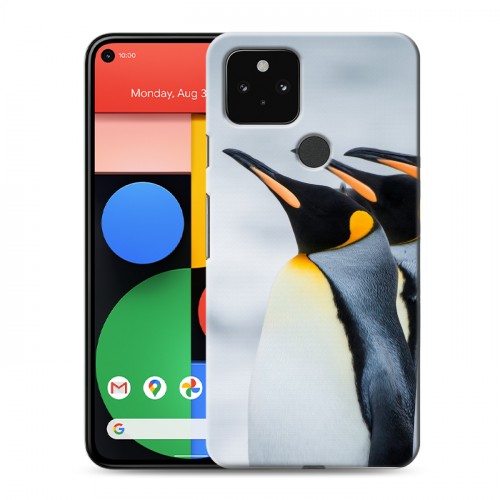 Дизайнерский пластиковый чехол для Google Pixel 5 Пингвины