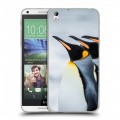 Дизайнерский пластиковый чехол для HTC Desire 816 Пингвины