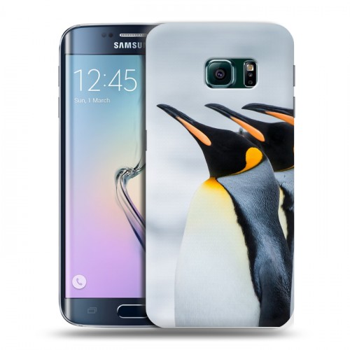 Дизайнерский пластиковый чехол для Samsung Galaxy S6 Edge Пингвины