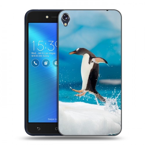 Дизайнерский пластиковый чехол для Asus ZenFone Live Пингвины