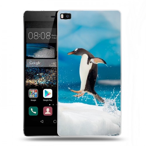 Дизайнерский пластиковый чехол для Huawei P8 Пингвины
