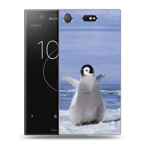 Дизайнерский пластиковый чехол для Sony Xperia XZ1 Compact Пингвины