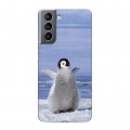 Дизайнерский пластиковый чехол для Samsung Galaxy S21 Пингвины