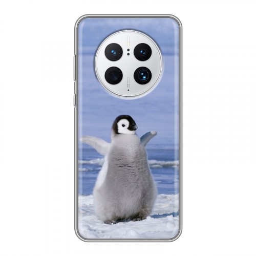 Дизайнерский силиконовый с усиленными углами чехол для Huawei Mate 50 Pro Пингвины