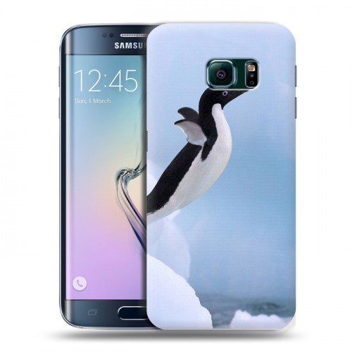 Дизайнерский пластиковый чехол для Samsung Galaxy S6 Edge Пингвины