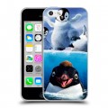 Дизайнерский пластиковый чехол для Iphone 5c Пингвины