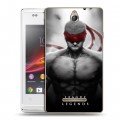 Дизайнерский пластиковый чехол для Sony Xperia E League of Legends