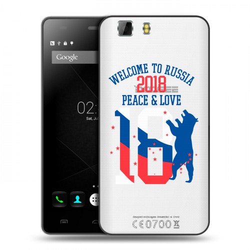 Полупрозрачный дизайнерский пластиковый чехол для Doogee X5 Российский флаг