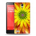 Дизайнерский пластиковый чехол для Xiaomi RedMi Note Красочные абстракции