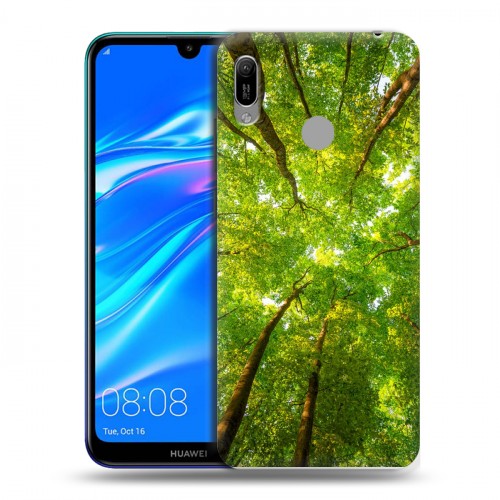 Дизайнерский пластиковый чехол для Huawei Y6 (2019) лес