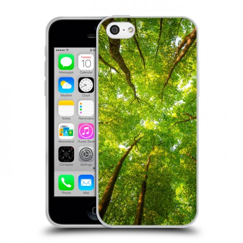 Дизайнерский пластиковый чехол для Iphone 5c лес