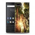 Дизайнерский пластиковый чехол для BlackBerry KEY2 лес