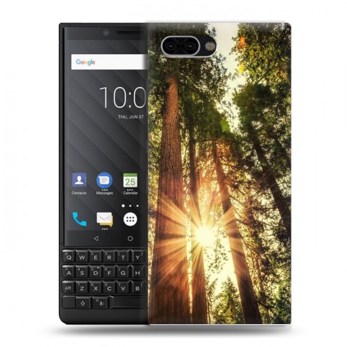 Дизайнерский пластиковый чехол для BlackBerry KEY2 лес