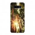 Дизайнерский пластиковый чехол для Samsung Galaxy S10 Plus лес