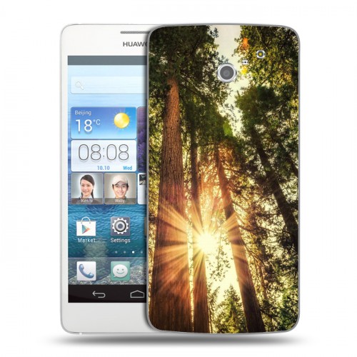 Дизайнерский пластиковый чехол для Huawei Ascend D2 лес